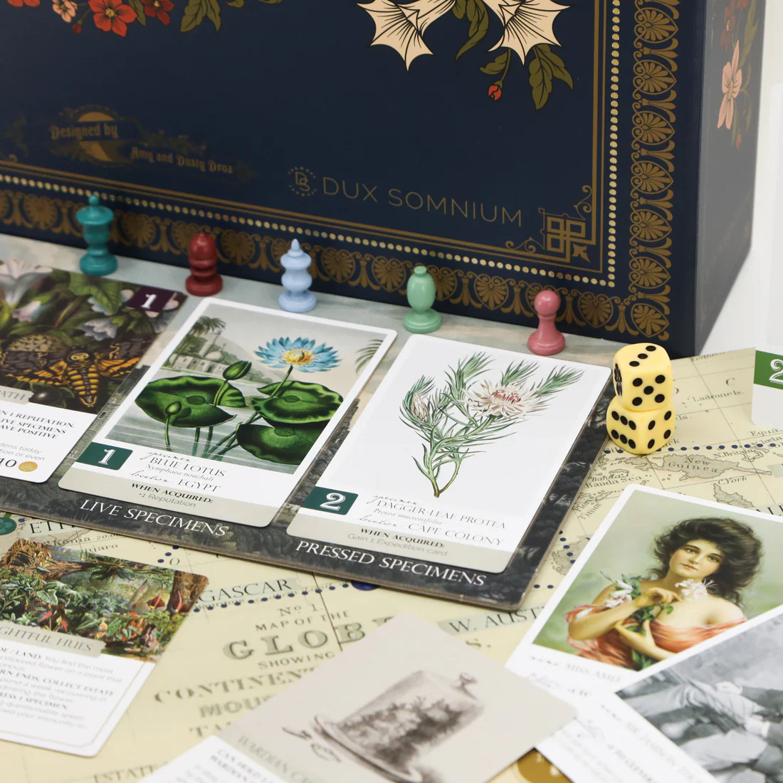 Botany - Image 5
