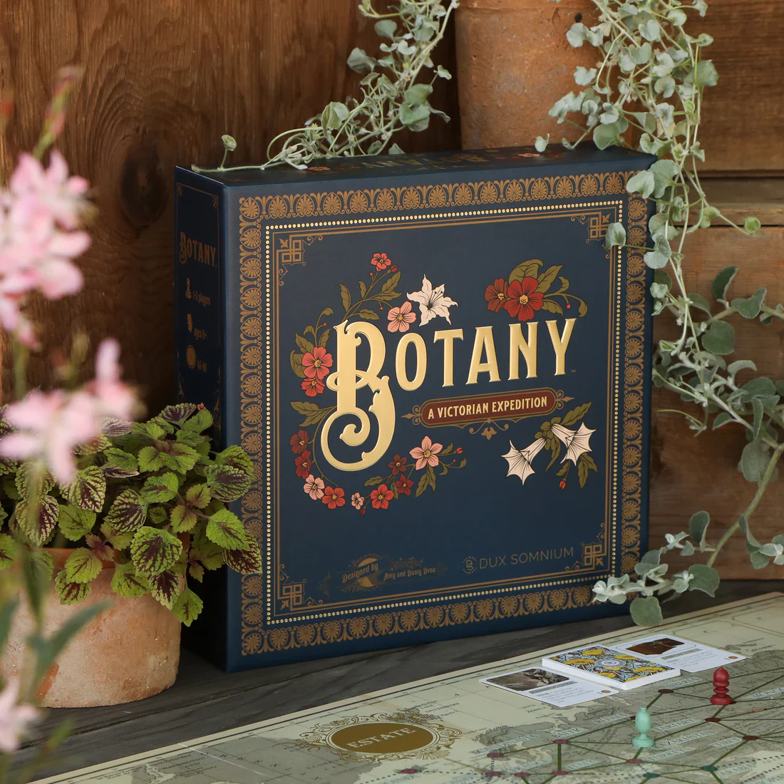 Botany - Image 7