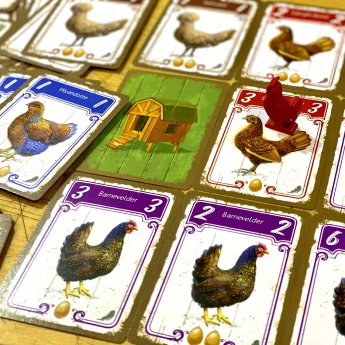 Hens - Image 4
